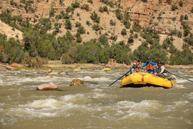 Oar raft vs. Paddle raft: What's the difference?