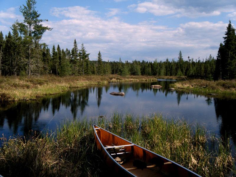 The Best National Forests for Paddlers