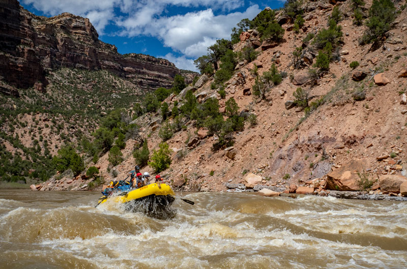 How to Score a Yampa River Rafting Permit | OARS