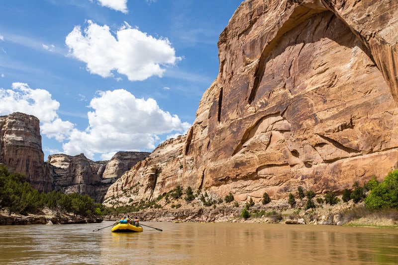 How to Go Rafting Every Month: June | Yampa River Rafting