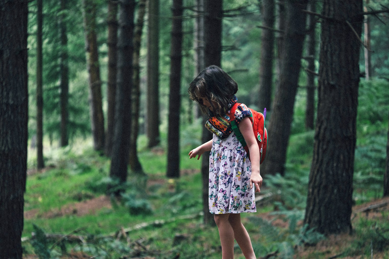 How to Make Nature Walks With Kids a Rewarding Experience