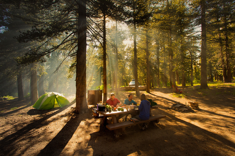 Camping in the woods essentials