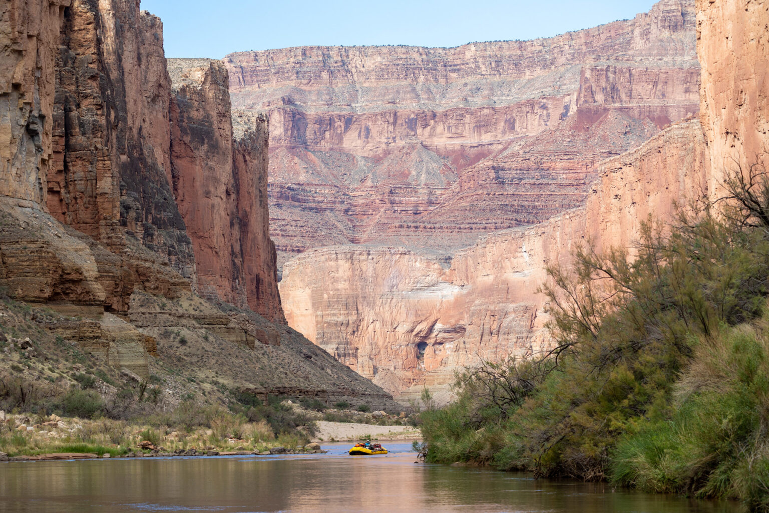 OARS raft floats between tamarisk-covered banks of the Colorado River deep in Grand Canyon