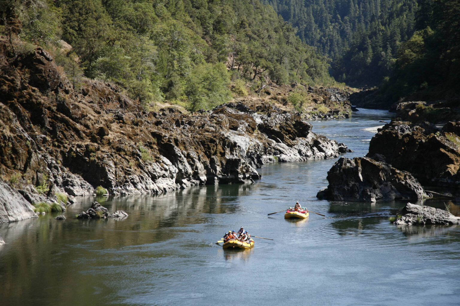 Groups rafting down the Rogue River in Oregon.
