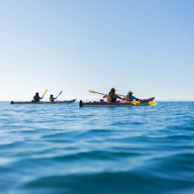 Group of people sea kayaking.