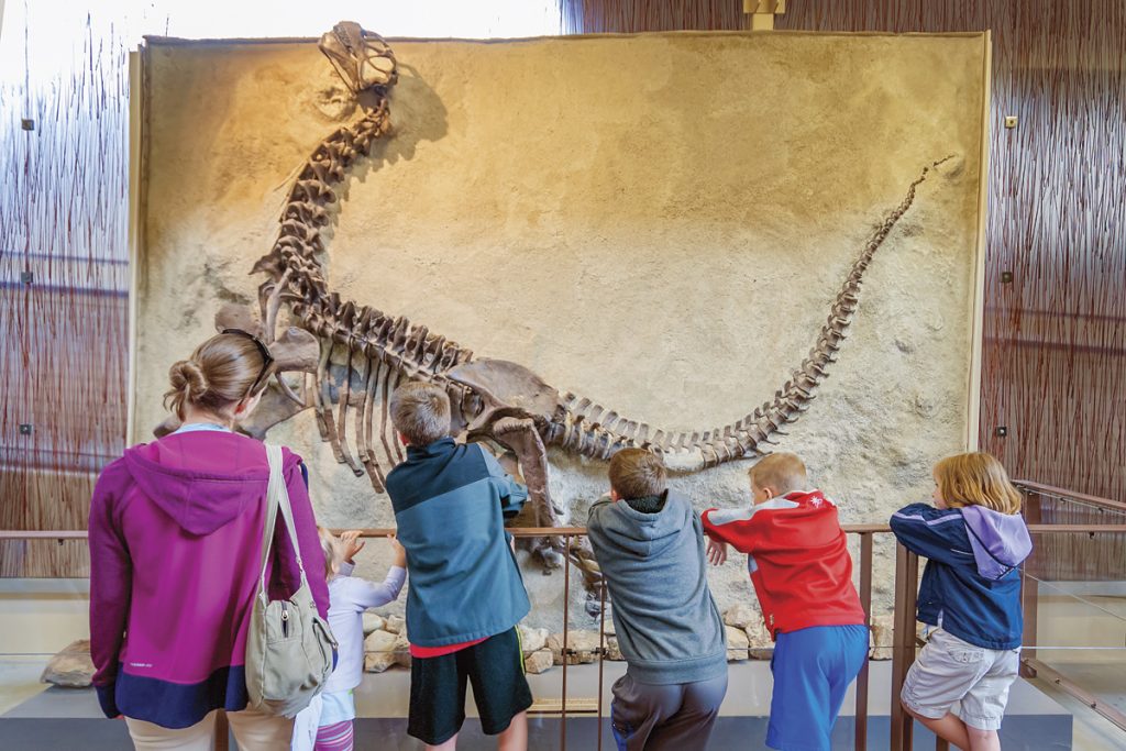 What Puts the "Dino" in Dinosaur National Monument