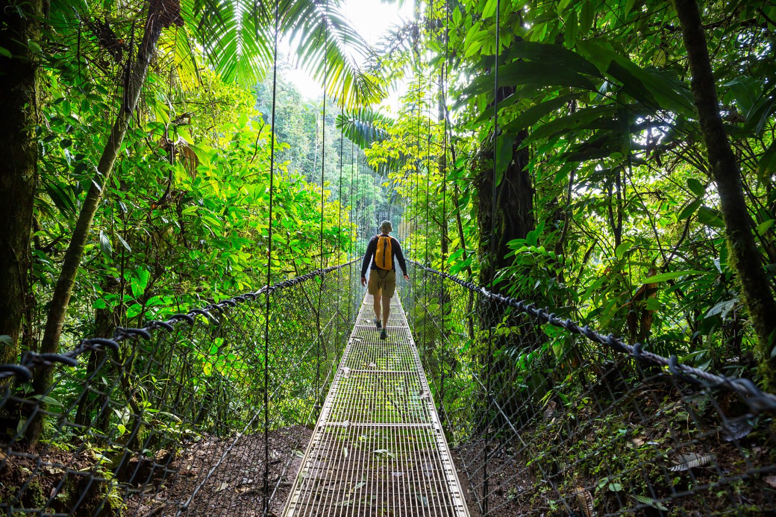 A hiker crosses a suspension bridge on a rainforest canopy tour near Arenal in Costa Rica